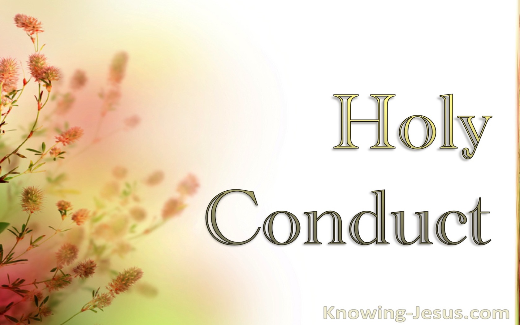 Holy Conduct (devotional)10-20 (white)